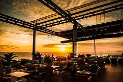 山茶 1973 小酒館