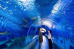 芽莊海洋研究所